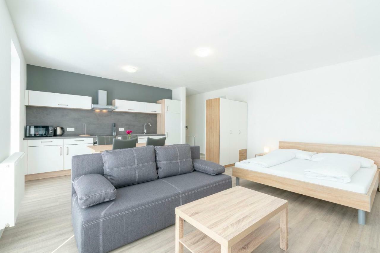 Apartmany Noviny Trenčín Zewnętrze zdjęcie